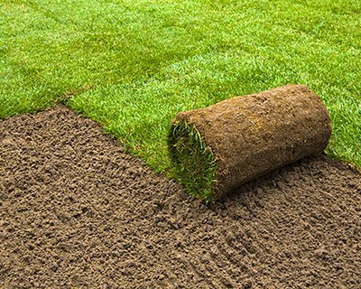 Commercial Sod Installation Chattanooga Commercial Sod
