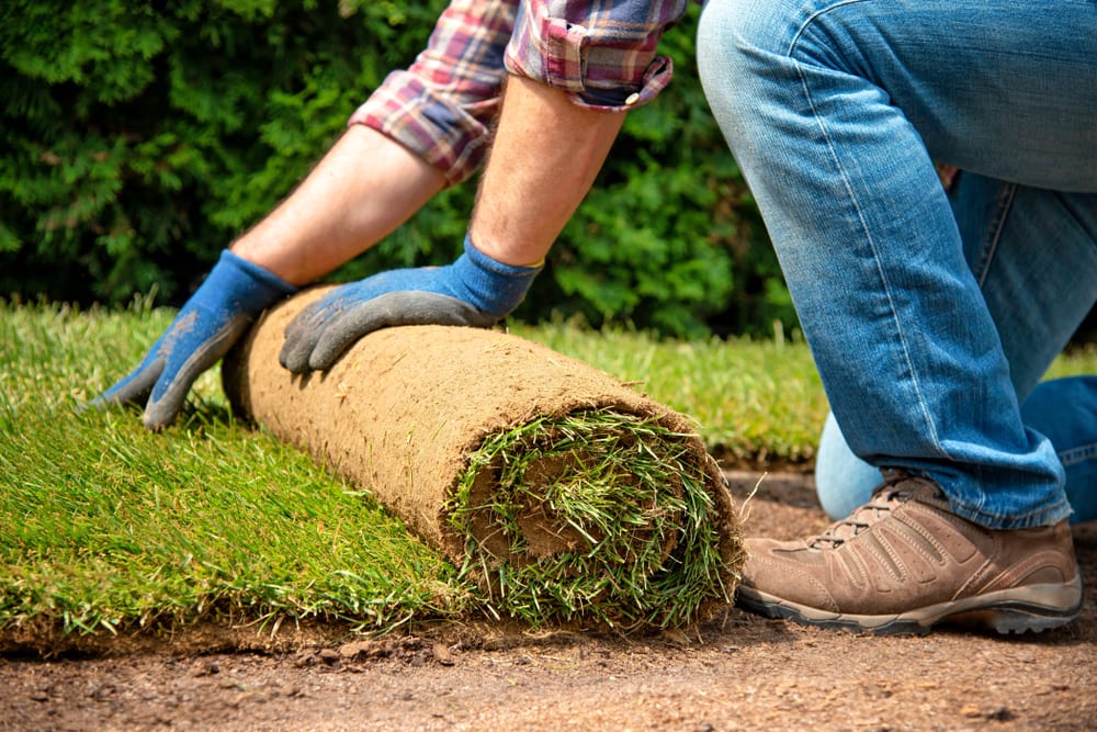 sod maintenance and care Chattanooga Sod Maintenance