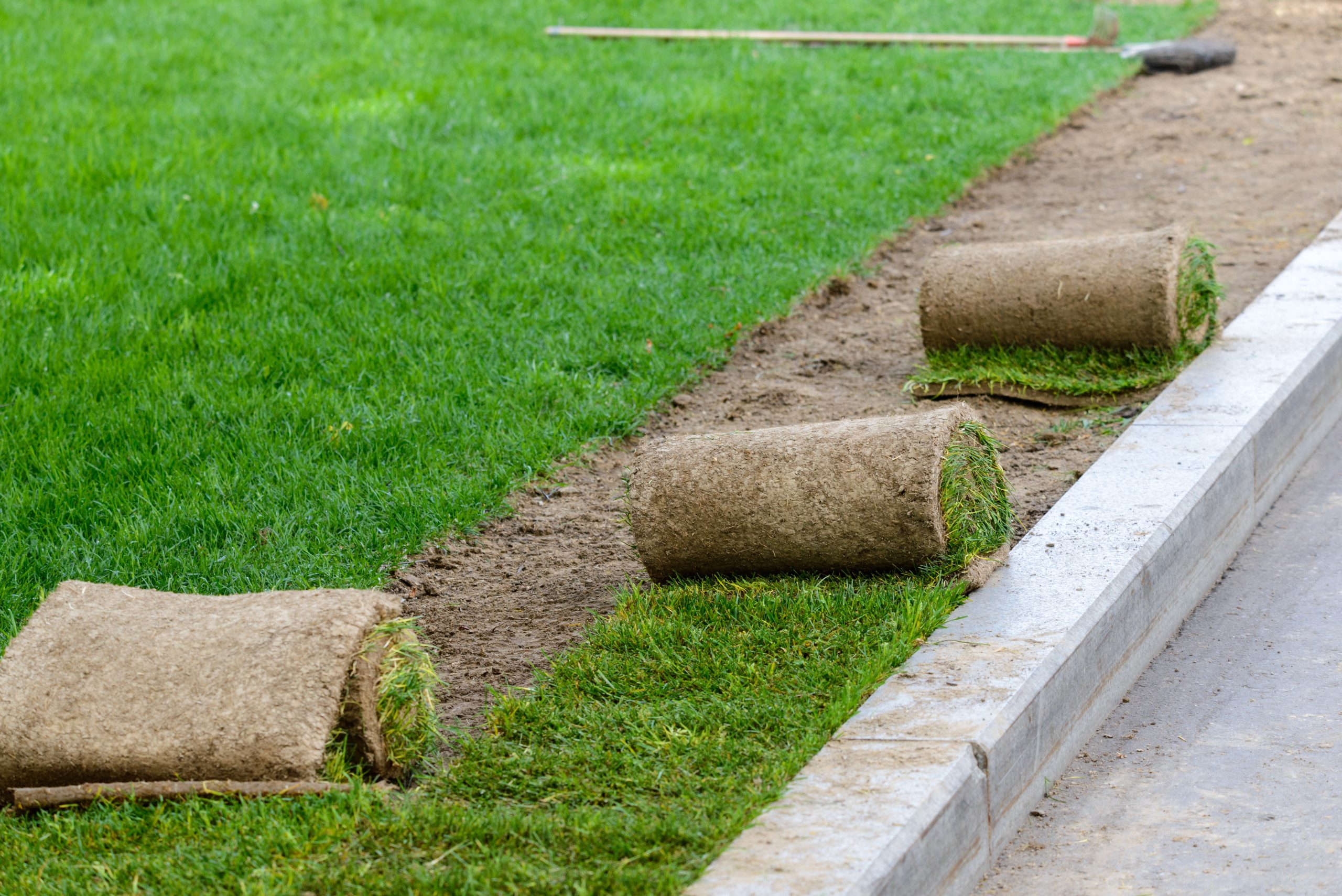 sod Replacement & Repair Chattanooga Chattanooga Sod Replacement