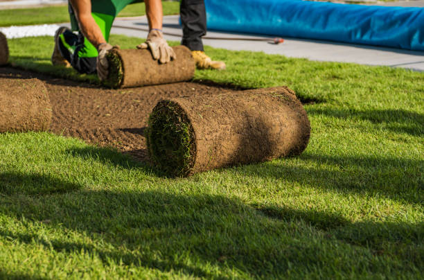 sod installation Chattanooga Chattanooga Sod Company